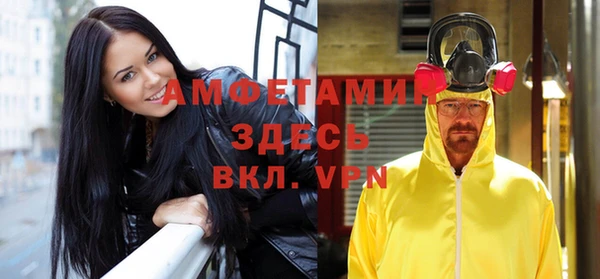 индика Богданович