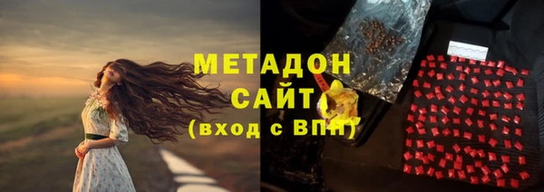 прущие грибы Сосновоборск