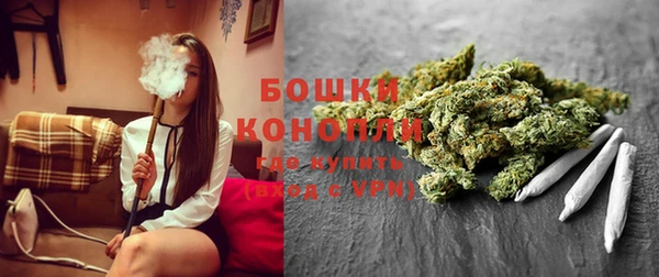 PSILOCYBIN Беломорск