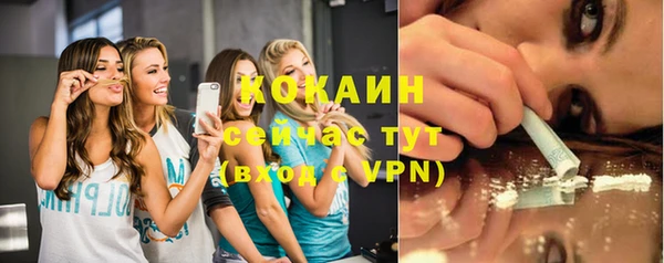индика Богданович