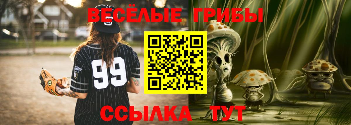 Псилоцибиновые грибы Cubensis  где купить   Вязьма  Вход с VPN 